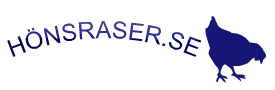 Hönsraser – Allt om höns!